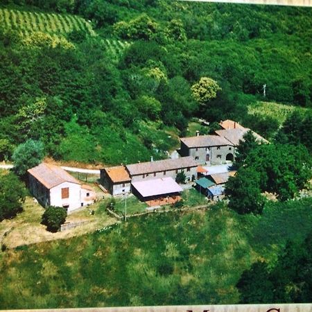 Bottega Di Montegiovi Scopeti Bagian luar foto