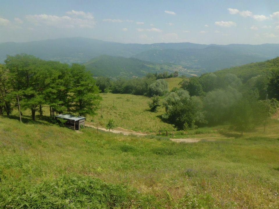 Bottega Di Montegiovi Scopeti Bagian luar foto