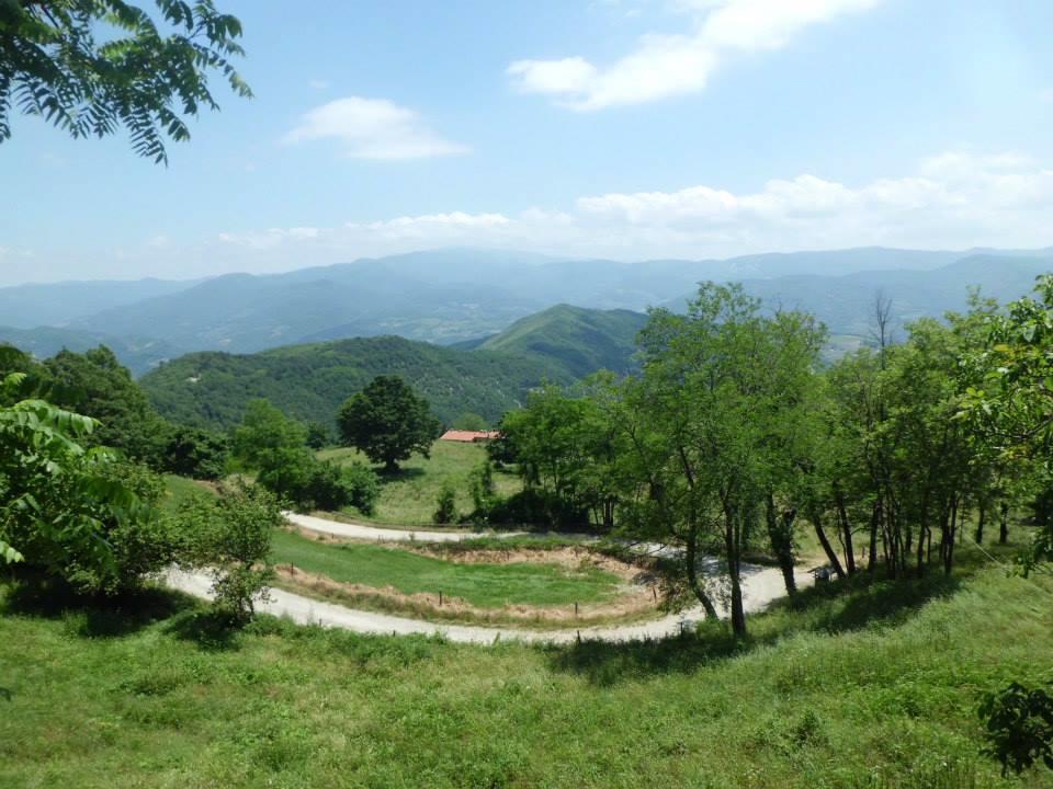Bottega Di Montegiovi Scopeti Bagian luar foto