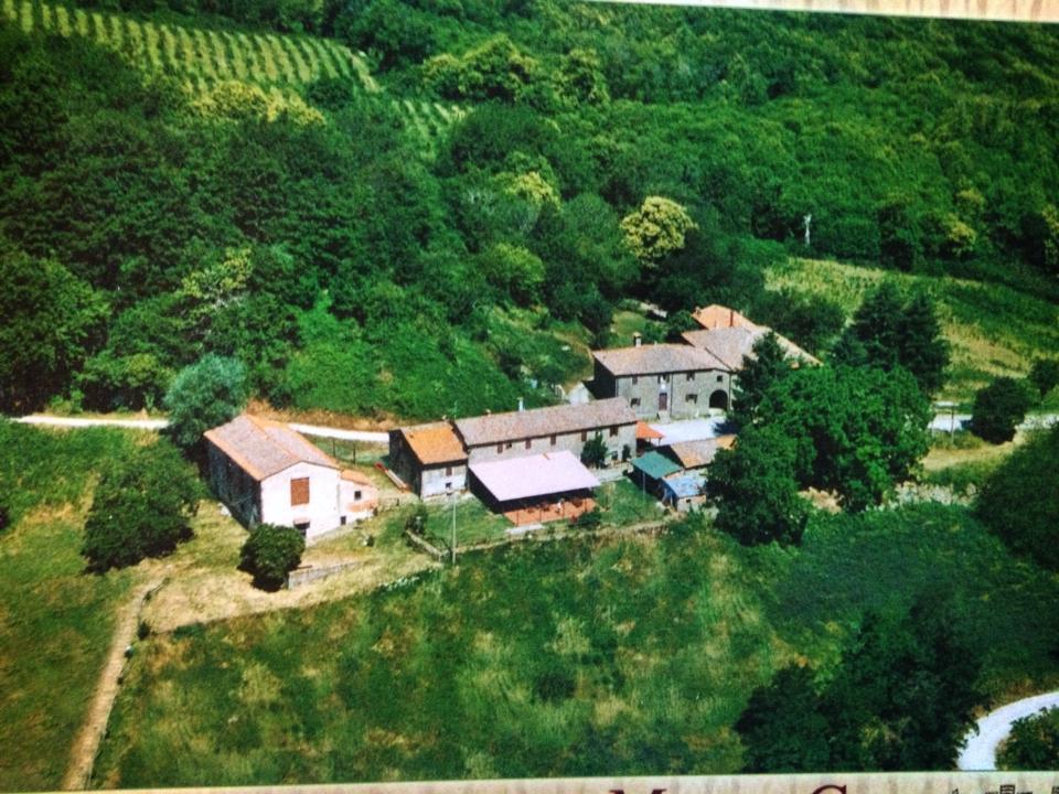 Bottega Di Montegiovi Scopeti Bagian luar foto